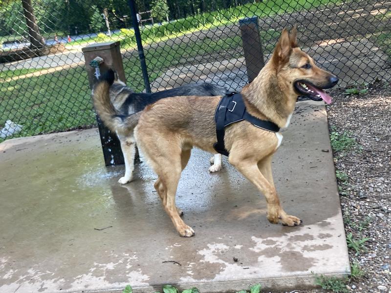 Modeling at the park