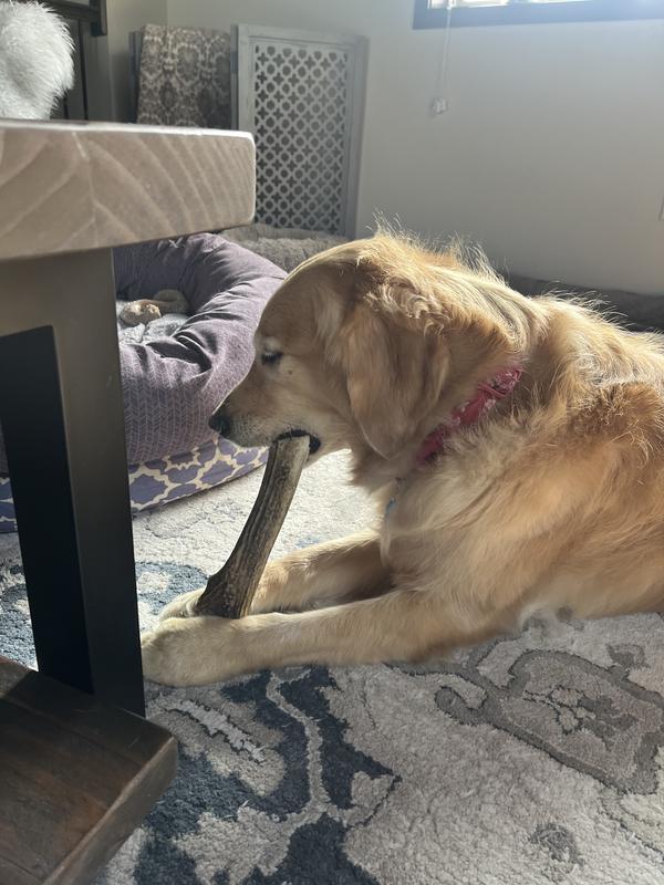 Chewin’