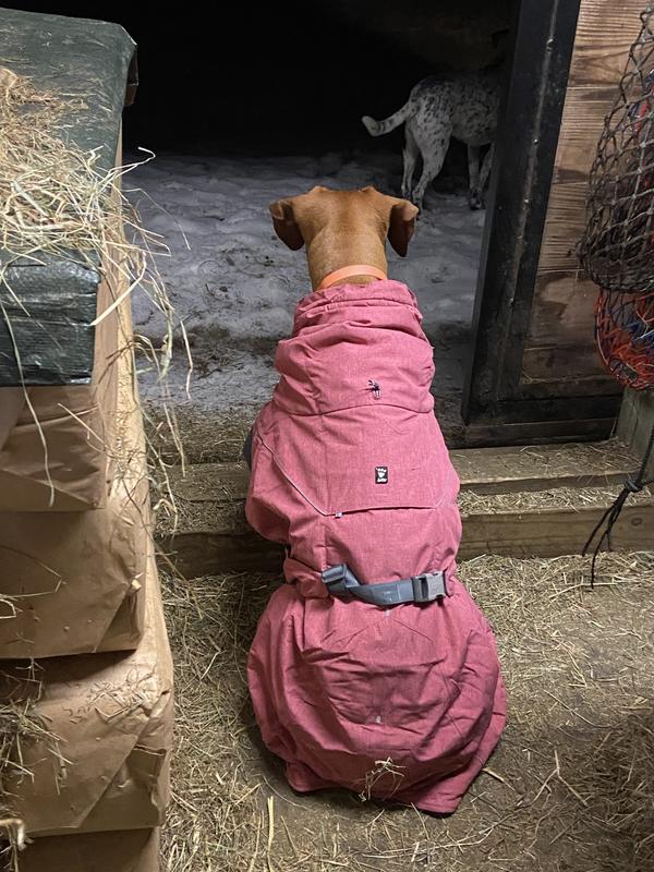 HURTTA Expedition Insulated Dog Parka, Beetroot, 28in