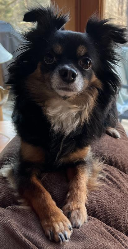 Zoey