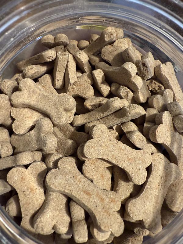 Pic of them in their container