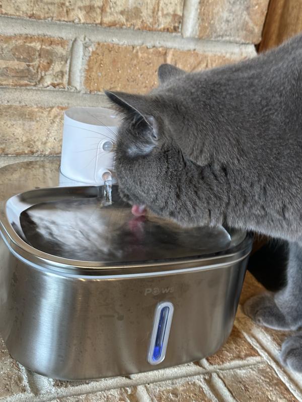 PawsPik BOSS-01 Stainless Steel Rechargeable Battery Operated Cat & Small Dog Water Fountain, 108.2-oz