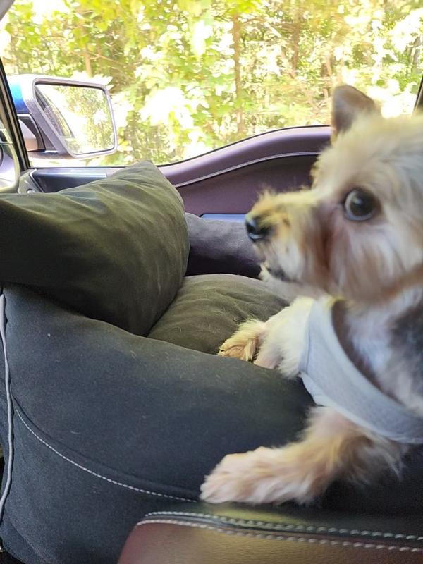 He looks very relaxed now