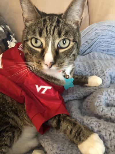 Hagrid and his new VT Jersey.