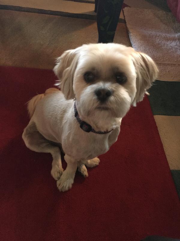 Gotta admit he’s adorable!