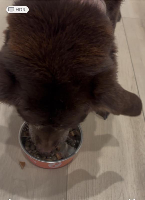 Lab literally inhaled this