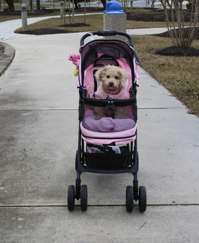 PET GEAR Happy trails NoZip Pet Stroller, Emerald
