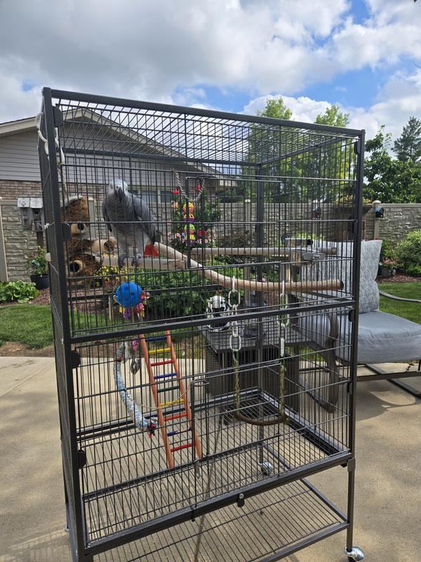 Yadi enjoying the great outdoors