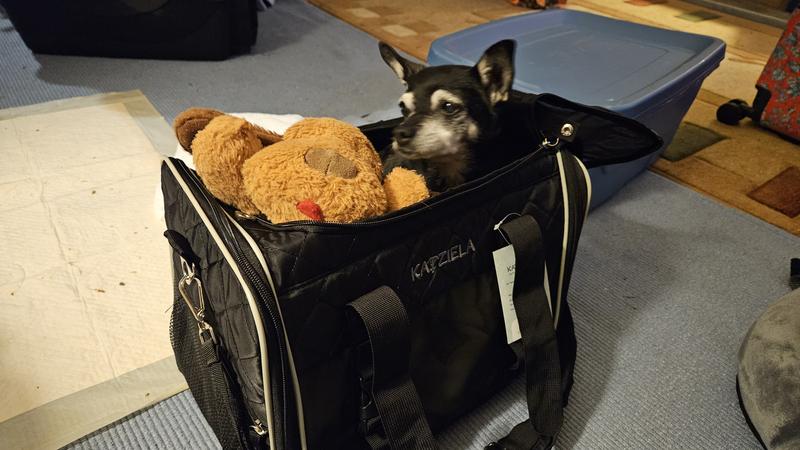 Ready to travel!