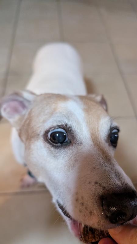 Diet recommendations on the back of the bag. My guys loving the treats.