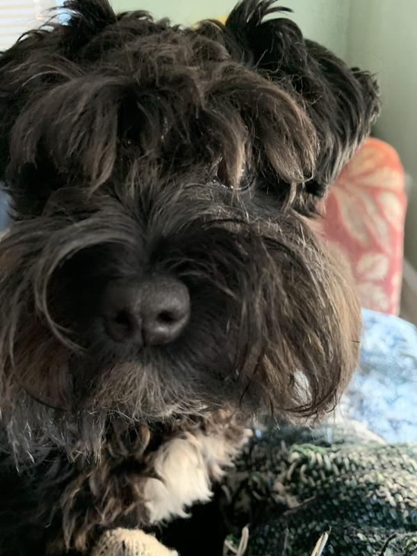 Countdown to food time