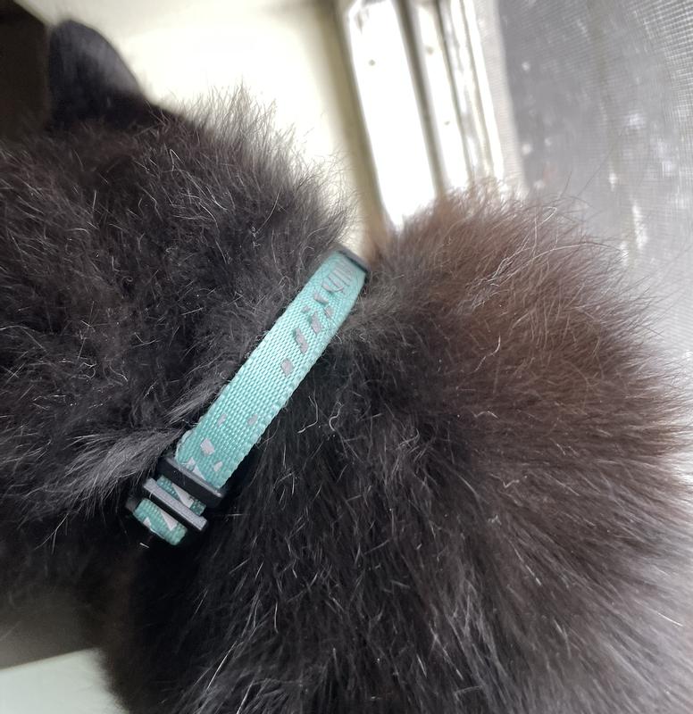 reflective stickers peeling off