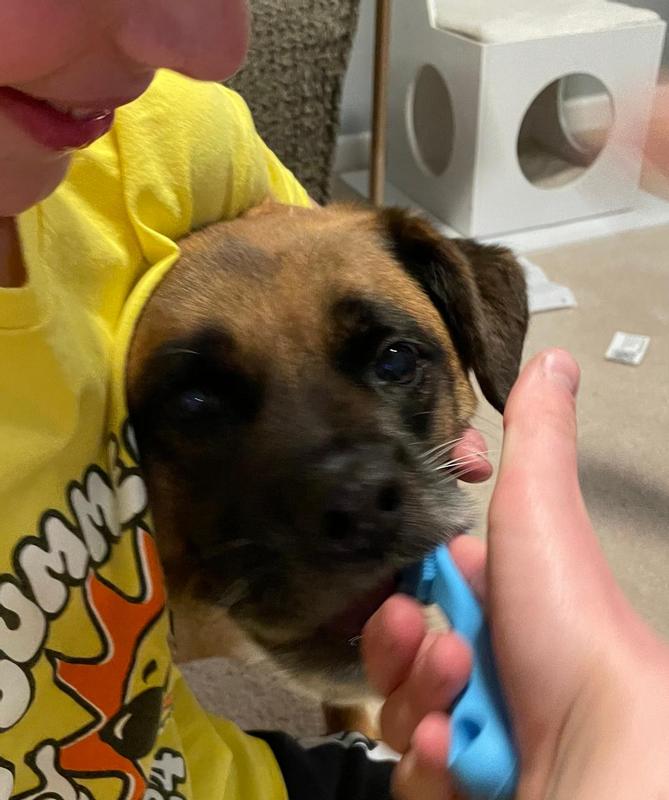 Mmm, is that peanut butter?  This isn't so bad!