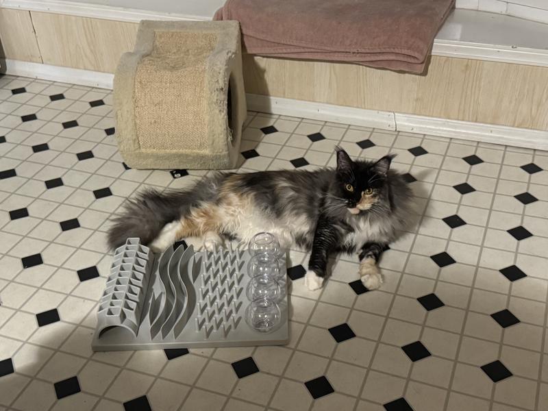 Flower laying next to the toy