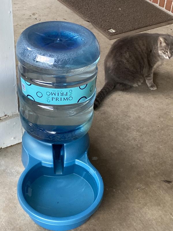 Water Bottle Gallon Water Jug For Dogs PETMATE Big Blue Outdoor