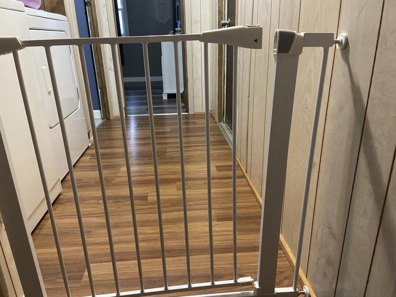 MIDWEST Glow in the Dark Dog & Cat Gate, Graphite, 39in