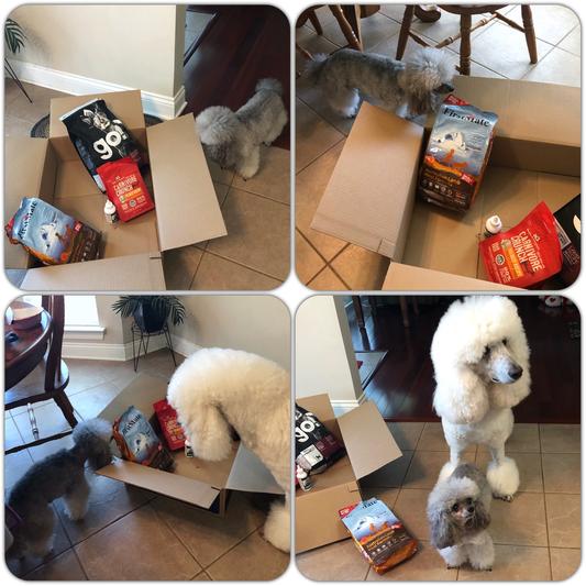 We love Chewy deliveries!