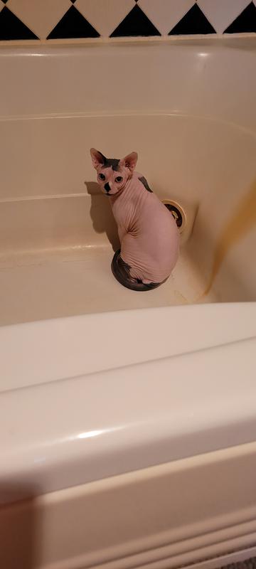 Arrowleaf Pet by NaturPet Inc. Intesti Care Digestive & Deworming Support for Cats & Dogs