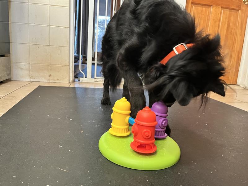 BRIGHTKINS Spinning Hydrants Treat Puzzle Dog Toy