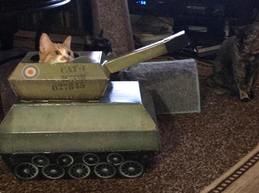 Flerk Channels Patton - Dogs are about!