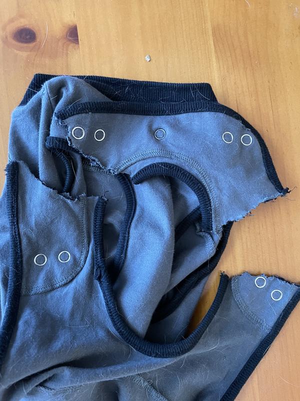 Onesie lab chewed through