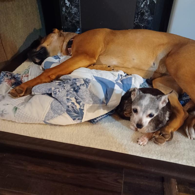 Extra space for Mouse!!