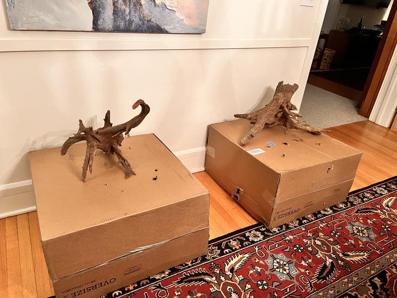 Each root sent in a huge box via Fed Ex. Total waste of money for Chewy.
