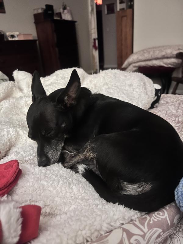 Poor Augie…I feel awful for what he’s gone through.