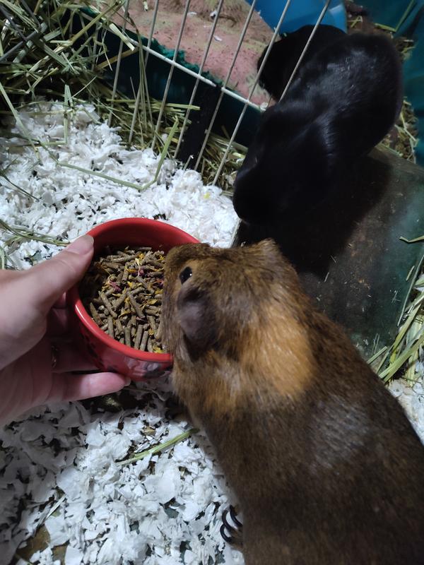 Smells interesting, too!