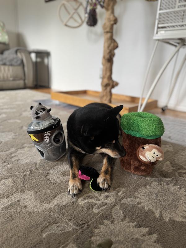 So many birthday toys!