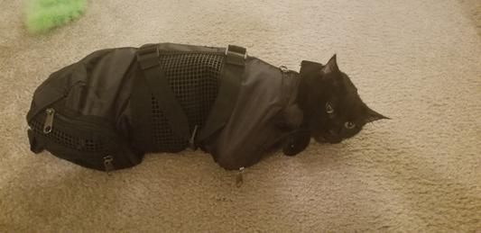 Cat restraint bag store reviews