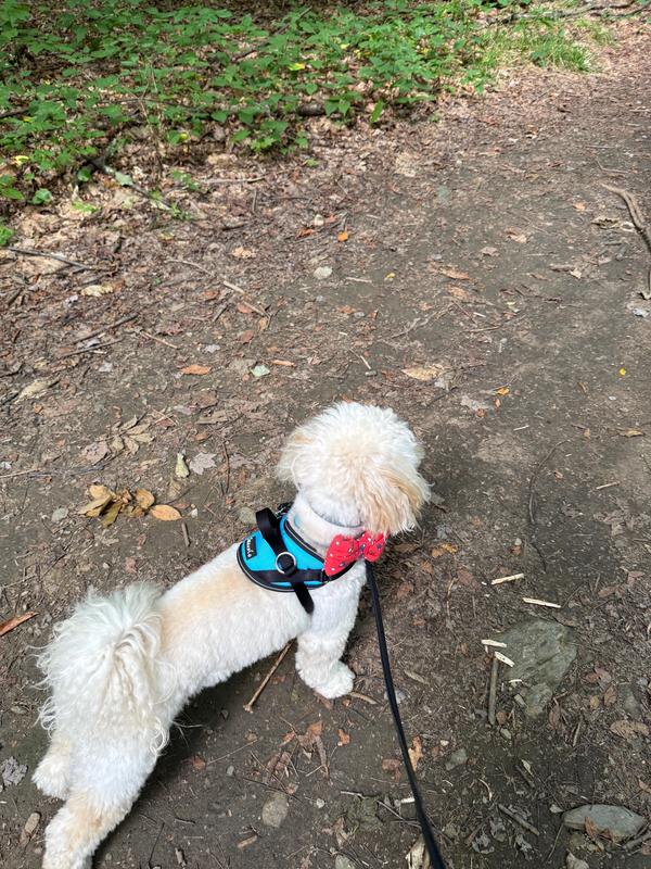 A sartorial wonder no matter the occasion!