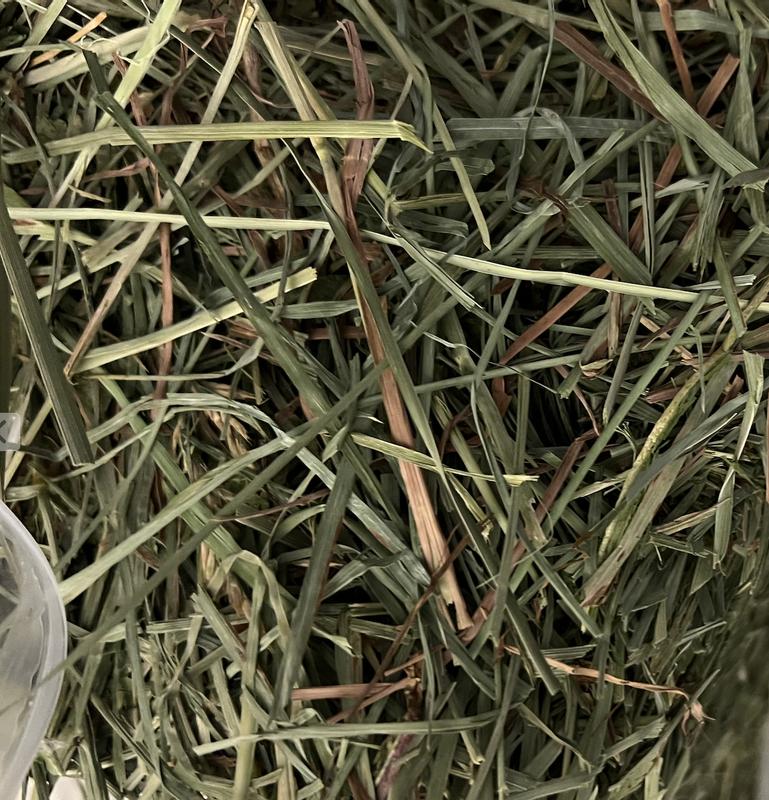 Great looking grass strands with no particulate. Odorless. Dust free.