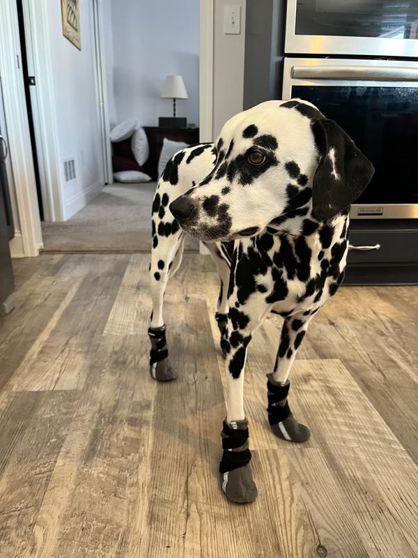 Aspen ready for snow