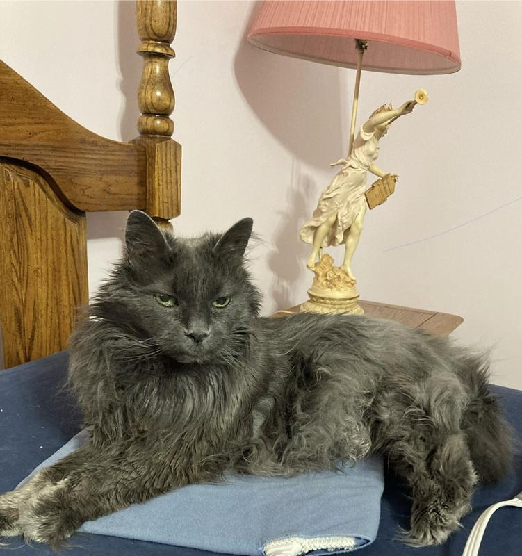 I’m a beauty queen laying on my heating pad after my bath.
