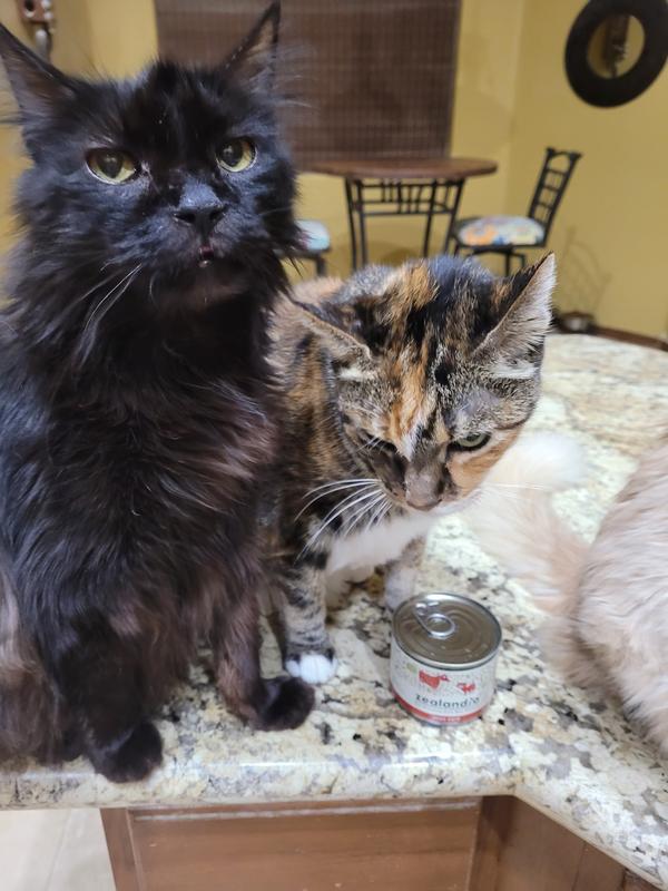 Laila enjoying Zealandia Beef