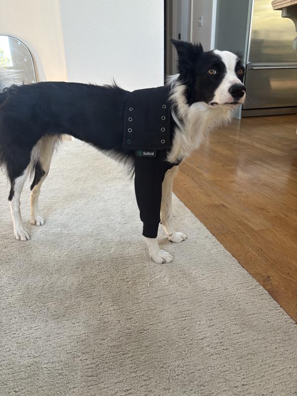 SUITICAL Recovery Sleeve For Dogs, Black, Medium