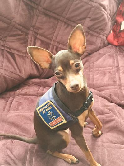 I am little but I am MIGHTY