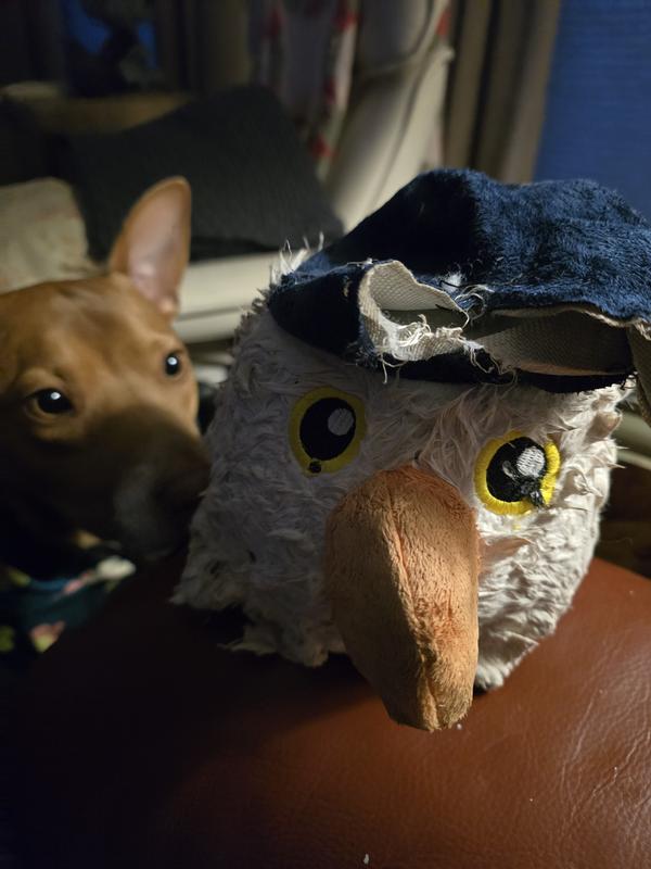 Gracie wanting the toy