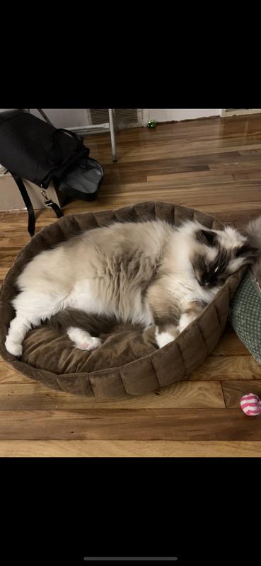 Snoozing happily in the K & H Pet Products Lazy Cup Cat Bed💜
