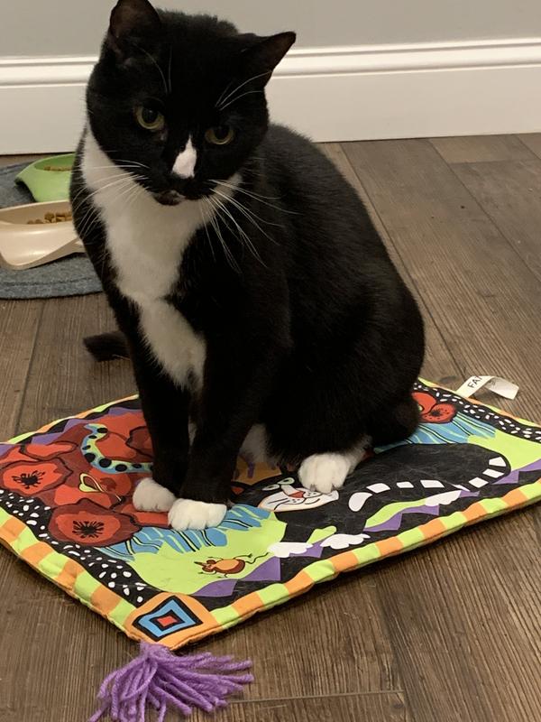 Boogie mat 2024 for cats