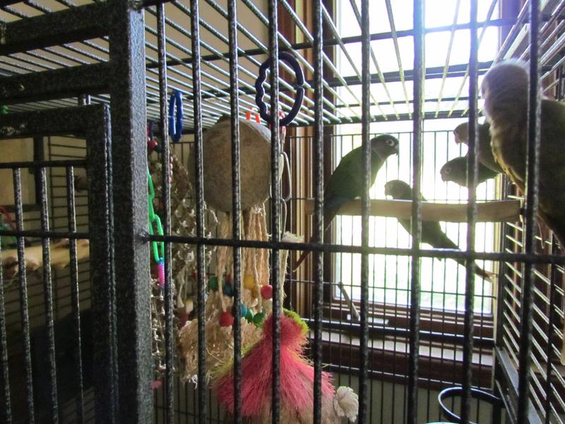 Hey, ma - go away with that camera - we were playing on our Coco Loco