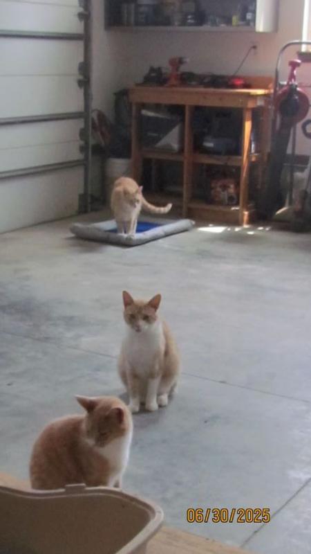 Checking out the cool bed