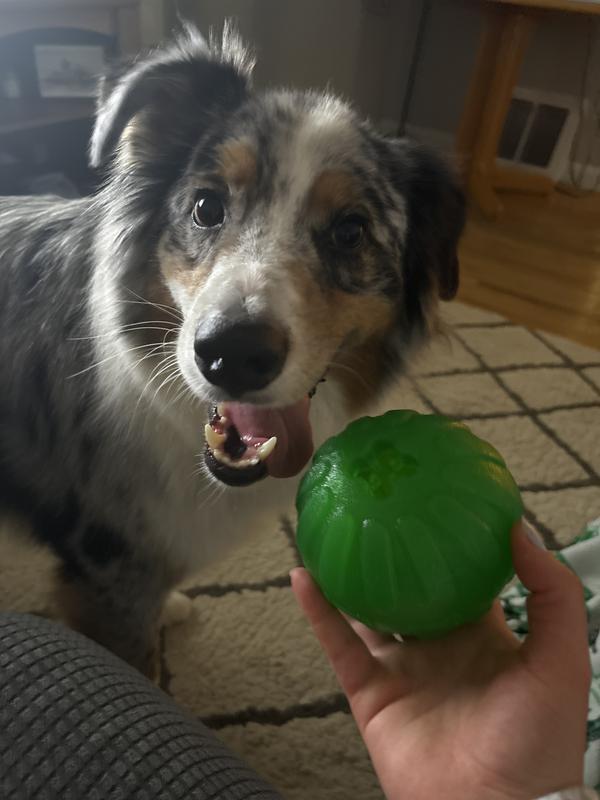 Starmark Treat Dispensing Chew Ball Dog Toy — Concord Pet Foods
