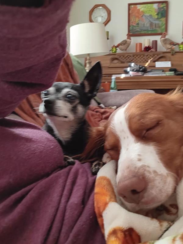 Pixie is happier