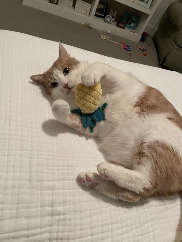 MAD CAT Purrfect Pineapple Catnip & Silvervine Cat Toy - Chewy.com