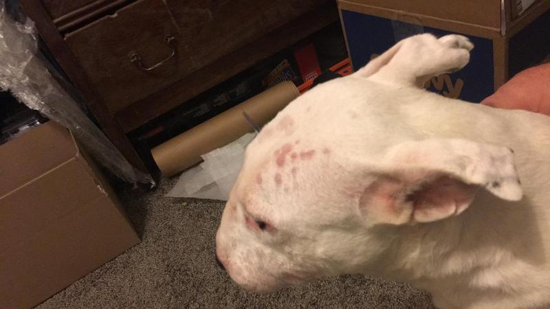 She doesn't deserve this!