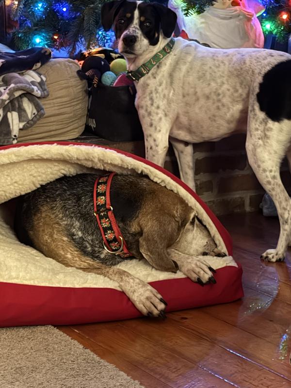 Hiding from my annoying brother!