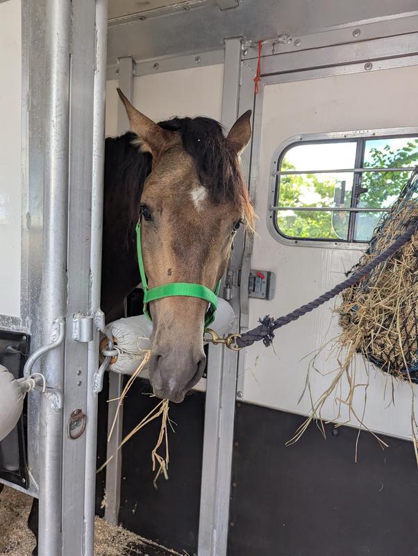 Trailering on the ferry ⛴️