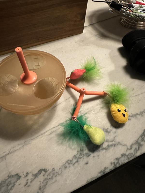 Toy that broke in badly packed box